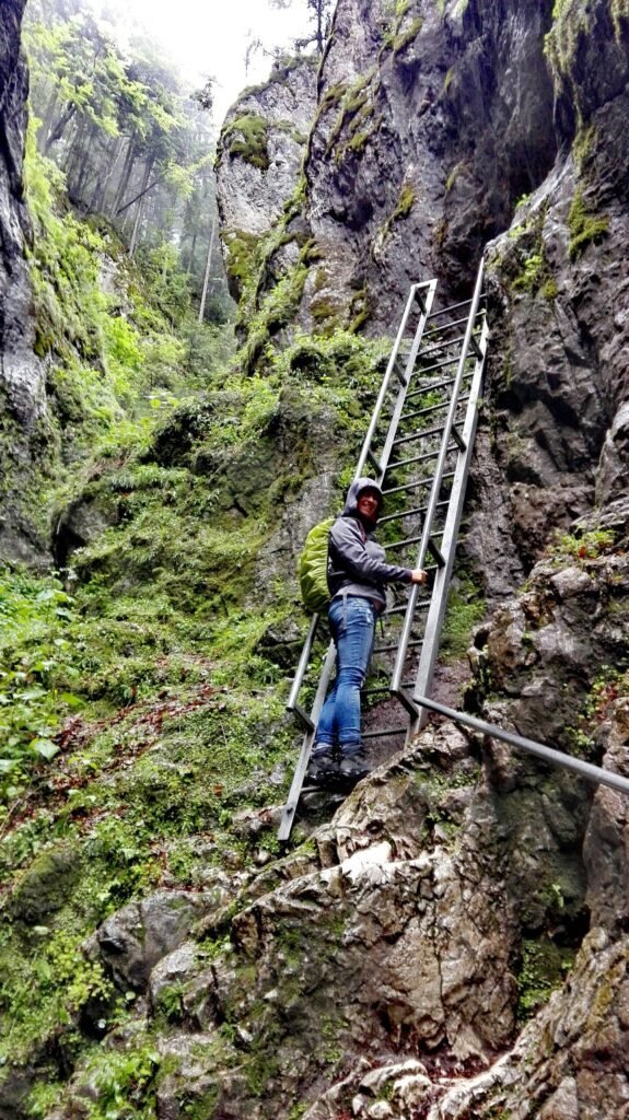 ladder Roemenië