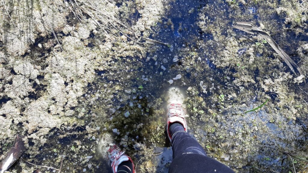 schoenen op een nat wandelpad