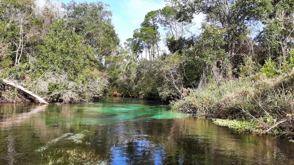 heel mooi blauw water in florida