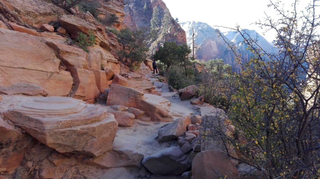 wandelpad zion np