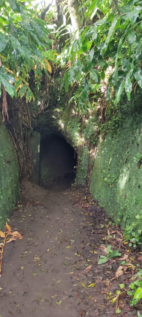 tunnel wandelpad