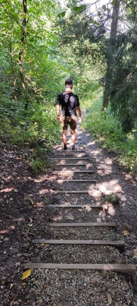 wandepad van utliberg naar zurich