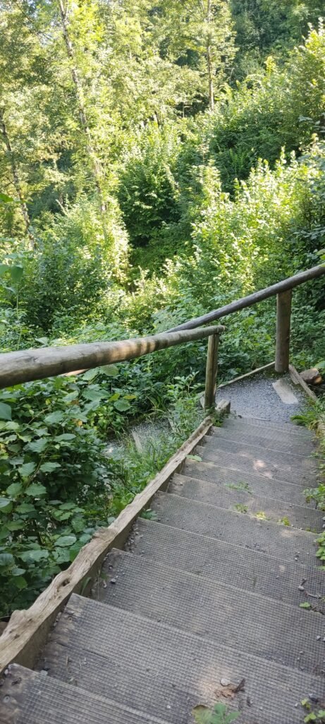 wandepad van utliberg naar zurich