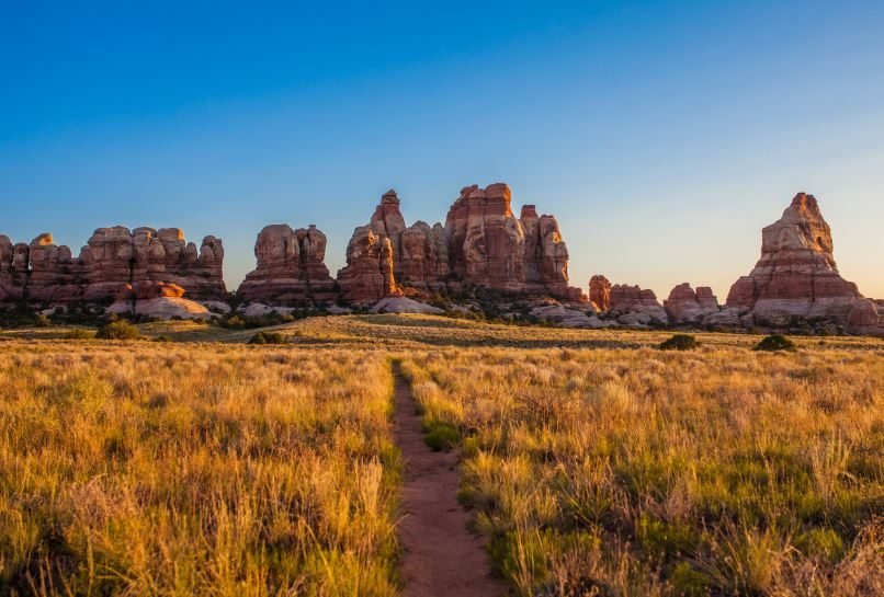 dor grasveld met op de achtergrond wit rode rotsen van Needles district in Canyonlands NP