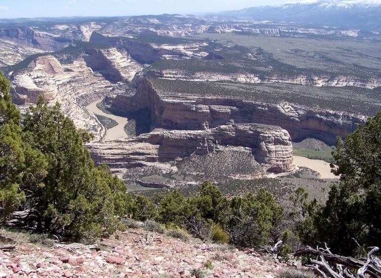 Uitzicht op de green river de langs de grote rots Steamboat rock bij Harpers corner in Dinosaur National Monument loopt