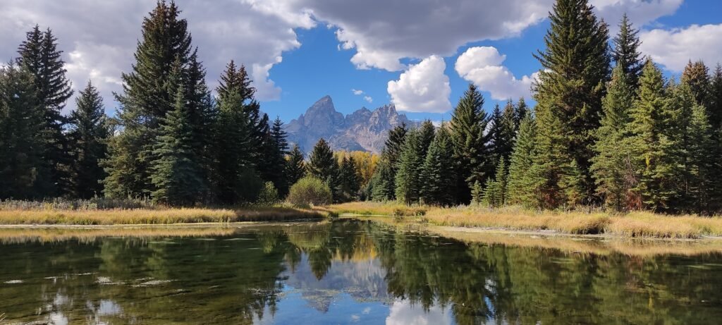 dennenbomen langs rivier met op de achtergrond puntige bergen Grand Teton National Park