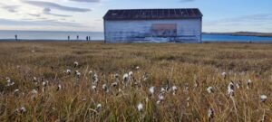 oude jagershut in Dundas Harbour Groenland