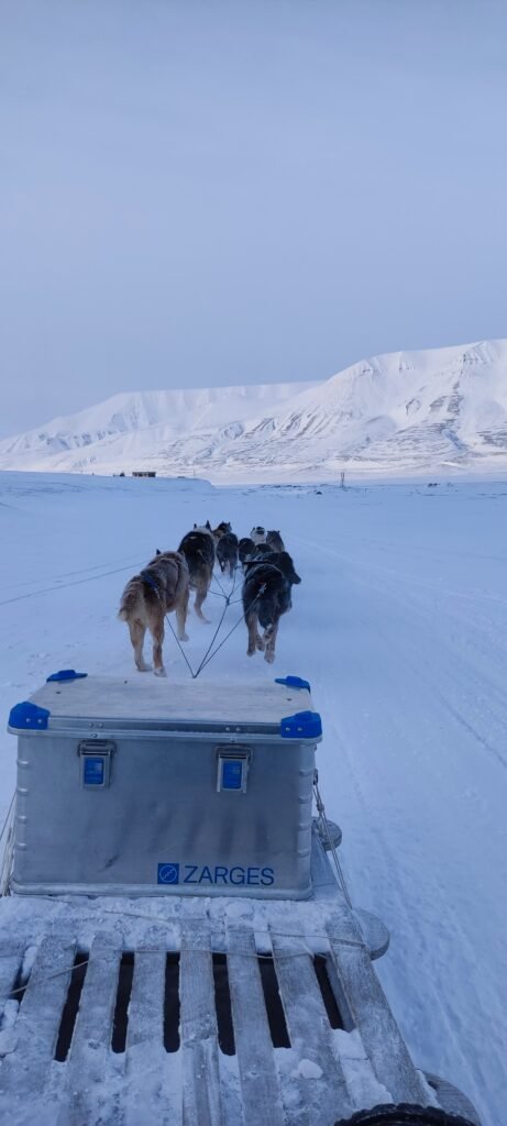 honden die een hondenslee trekken in Spitsbergen in de sneeuw