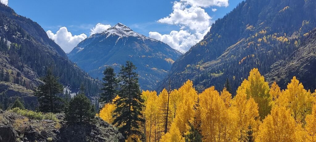 uitzicht van op de million dollar highway op bomen en bergen in herfsttinten