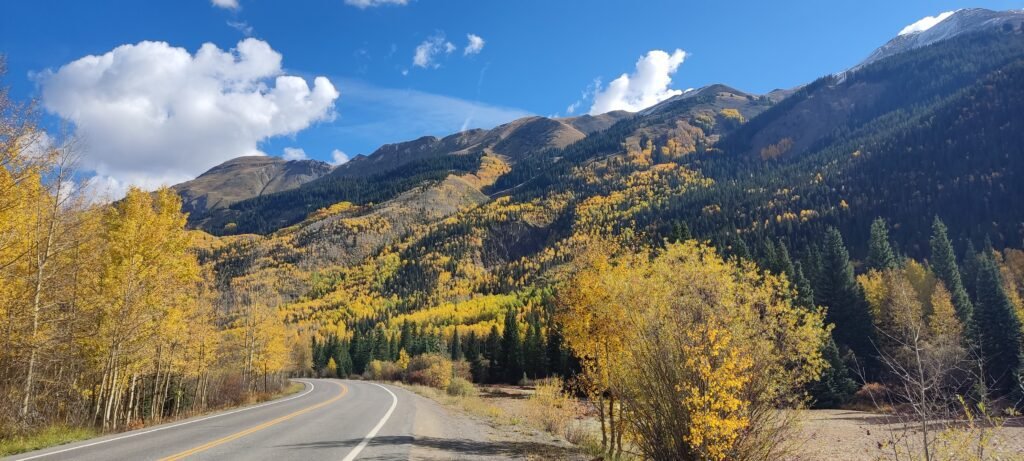 geel verkleurde bomen langs de million dollar highway in usa