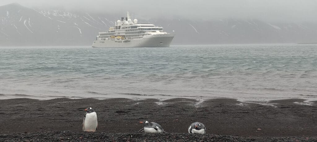 pinguïns in Antarctica met op de achtergrond een cruiseschip van Silversea Silver Endeavour