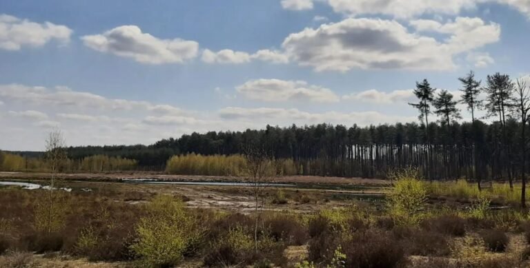 Uitkijkpunt over water en bomen in Gerhagen bij Ardendonk